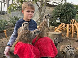 Max with Meerkats